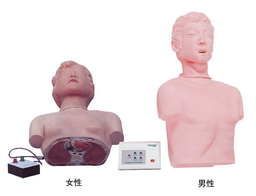 半身心肺复苏训练模拟人(简易型)