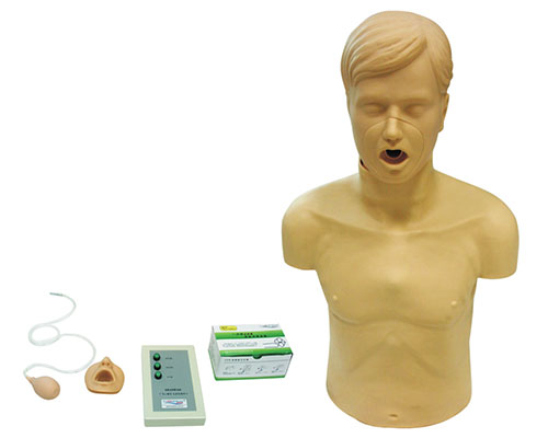 BK/CPR186高级成人气道梗塞及CPR模型