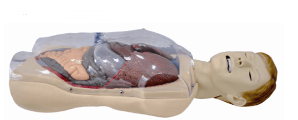 “三腔二囊管模型