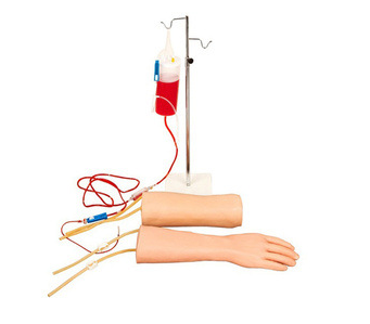手部、肘部组合式静脉输液（血）训练模型
