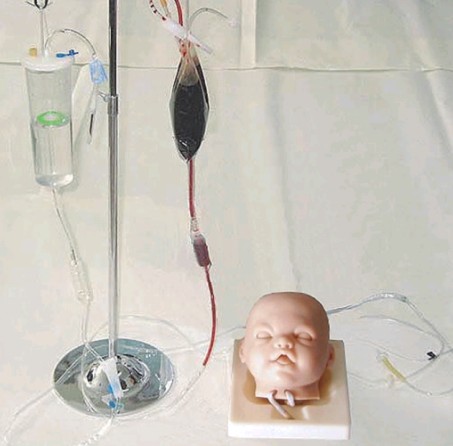 高级婴儿头部静脉穿刺训练模型