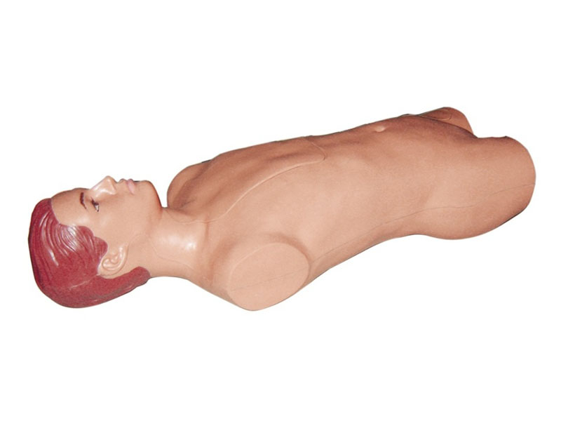 “腹部移动性浊叩诊与腹腔穿刺训练模型
