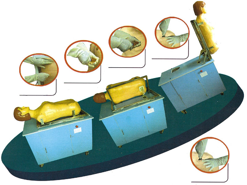 “全自动多种穿刺叩诊电脑训练模型